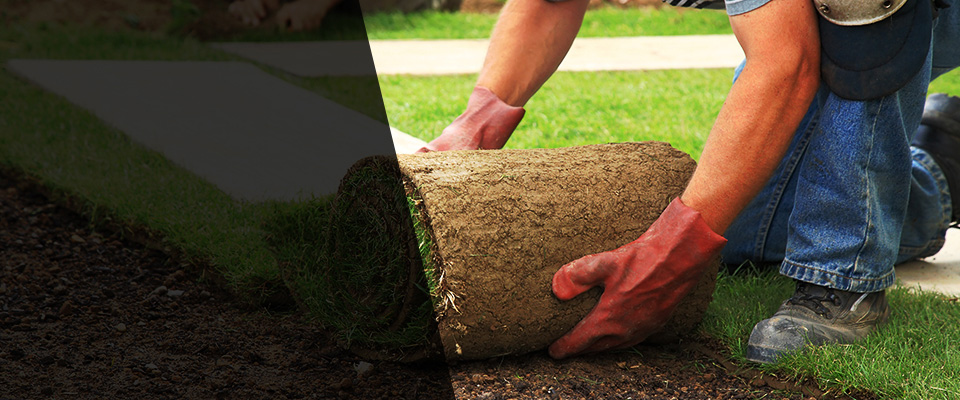 Marblehead Landscapers